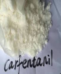 Buy carfentanil online